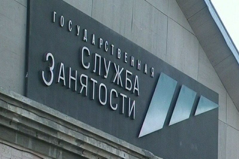Более 3 тысяч человек трудоустроены органами службы занятости Камчатки с начала года